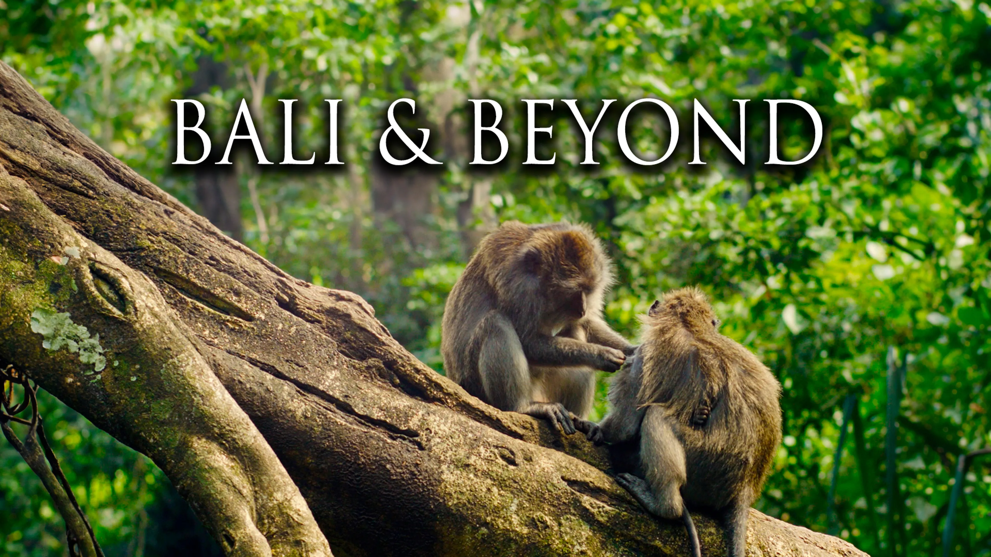 Bali & Beyond poster